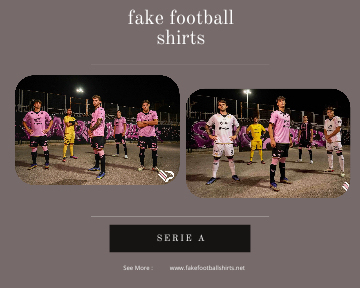 fake Palermo football shirts 23-24